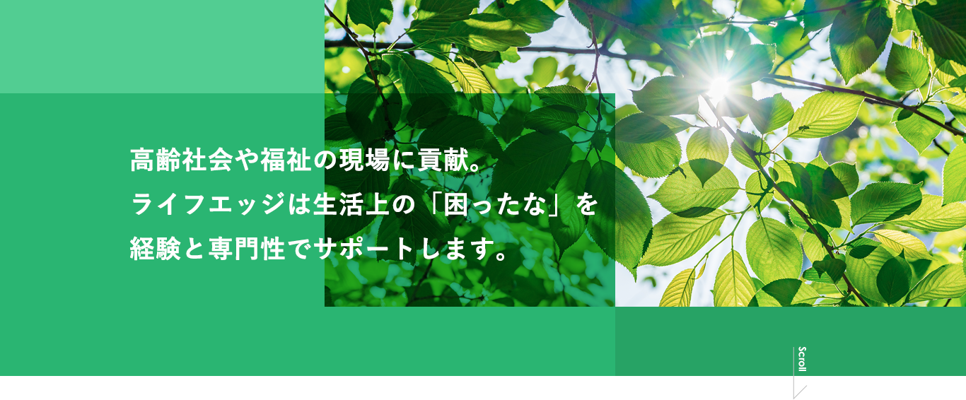 高齢社会や福祉の現場に貢献。ライフエッジは生活上の「困ったな」を経験と専門性でサポートします。